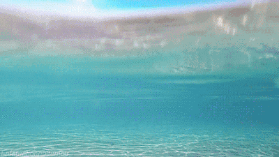 640.gif 640.gif